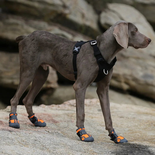 Bottes d’Hiver Antidérapantes pour Chiens – Truelove Ma boutique