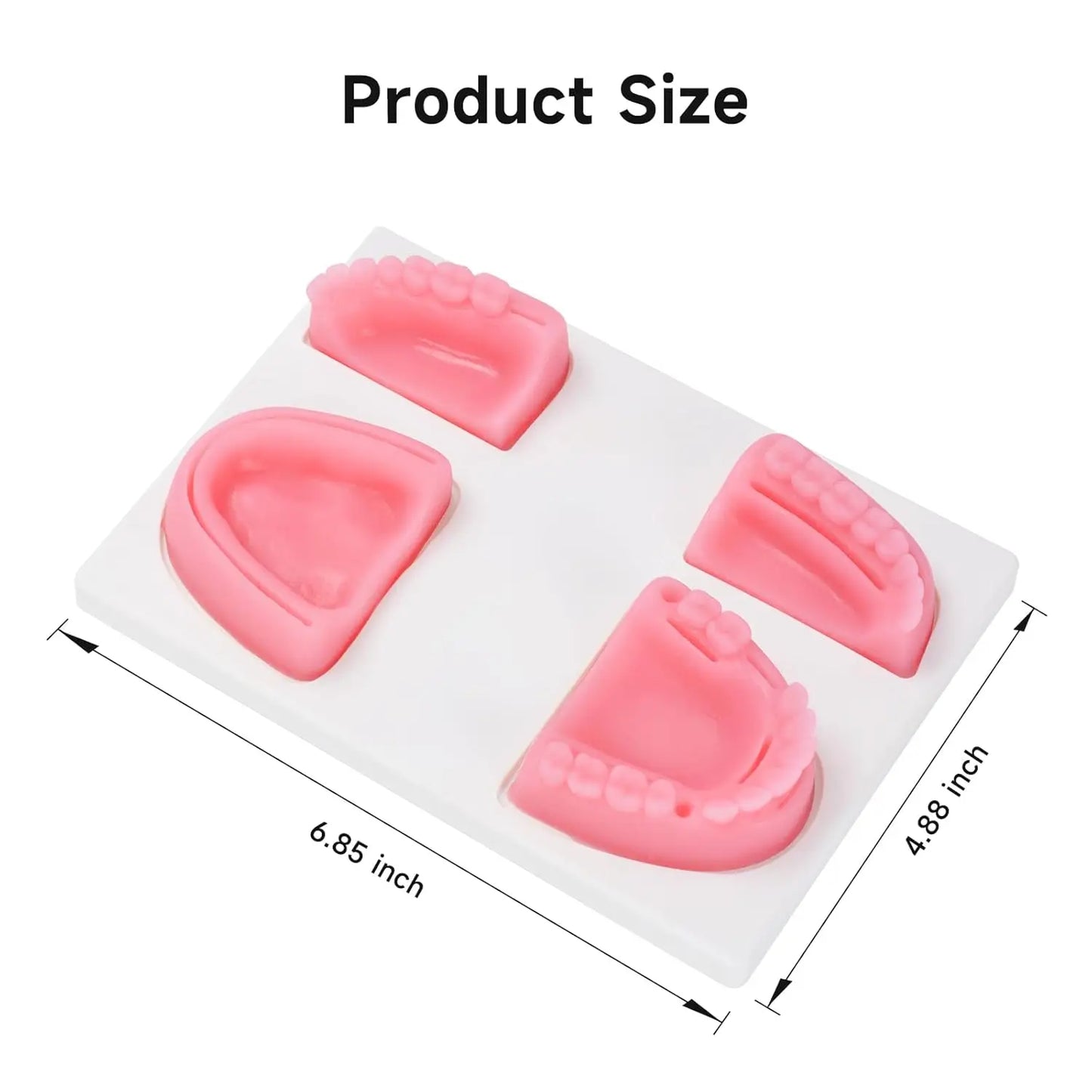 Kit Suture Dentaire 4-en-1 – 4 Pads Gencive Résine, Outils Inox & 6 Fils 4/0 – Formation Étudiants Dentistes
