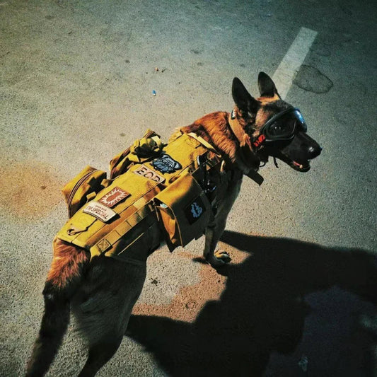 Gilet Tactique pour Chien – Harnais de Poitrine Robuste et Confortable Ma boutique