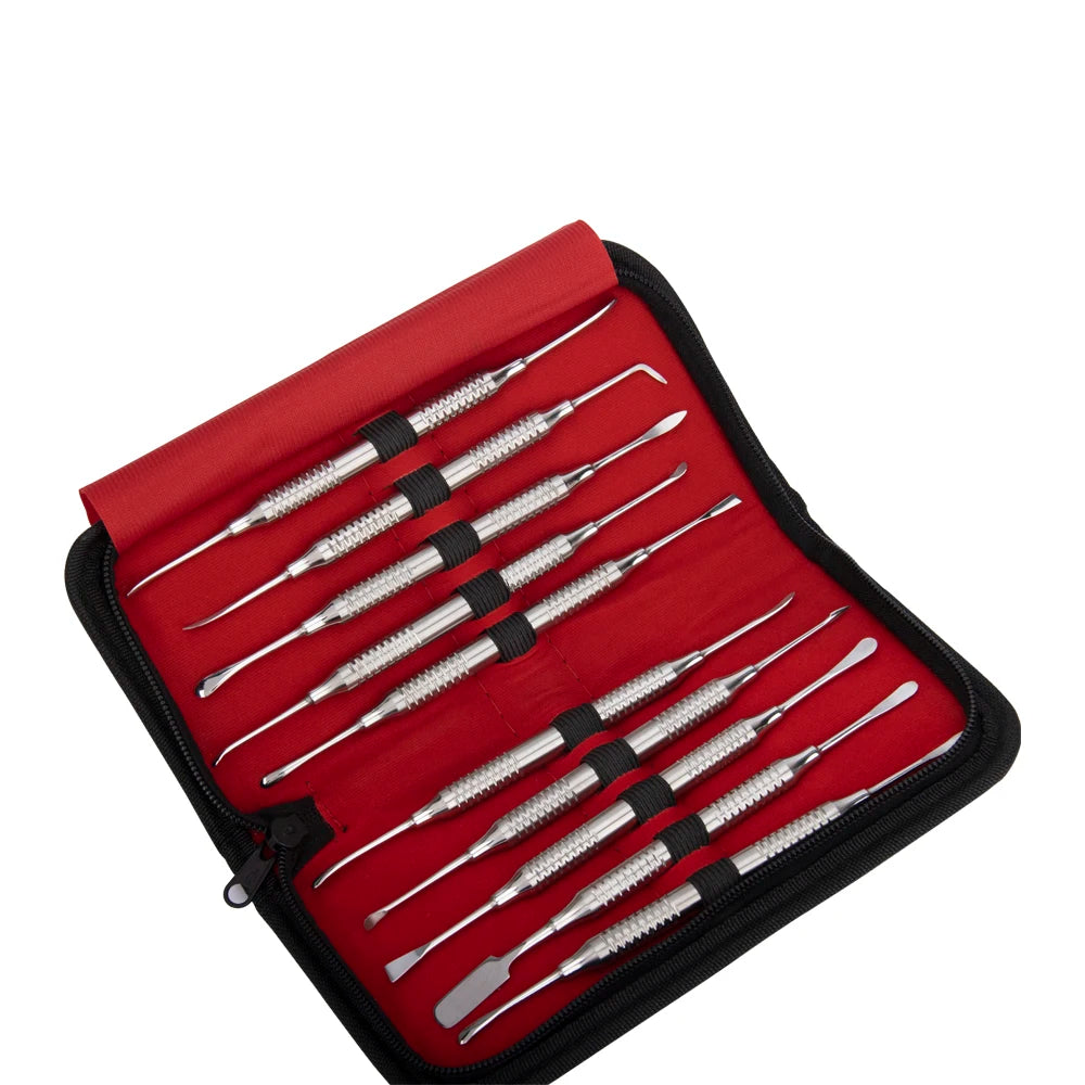 Set de 10 Instruments Dentaires – Séparateurs Périostés Professionnels | GISTARMED Ma boutique
