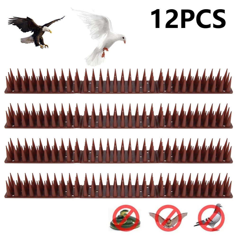 12 Pièces – Pointes Anti-Oiseaux et Anti-Grimpe en Plastique et Acier Inoxydable - BLACKBEARD OUTDOOR INDUSTRIES