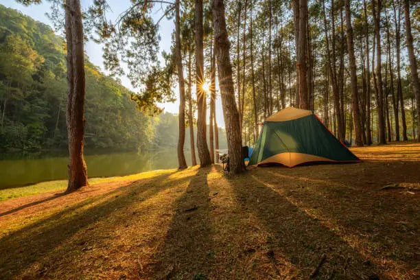 camping - BLACKBEARD OUTDOOR INDUSTRIES