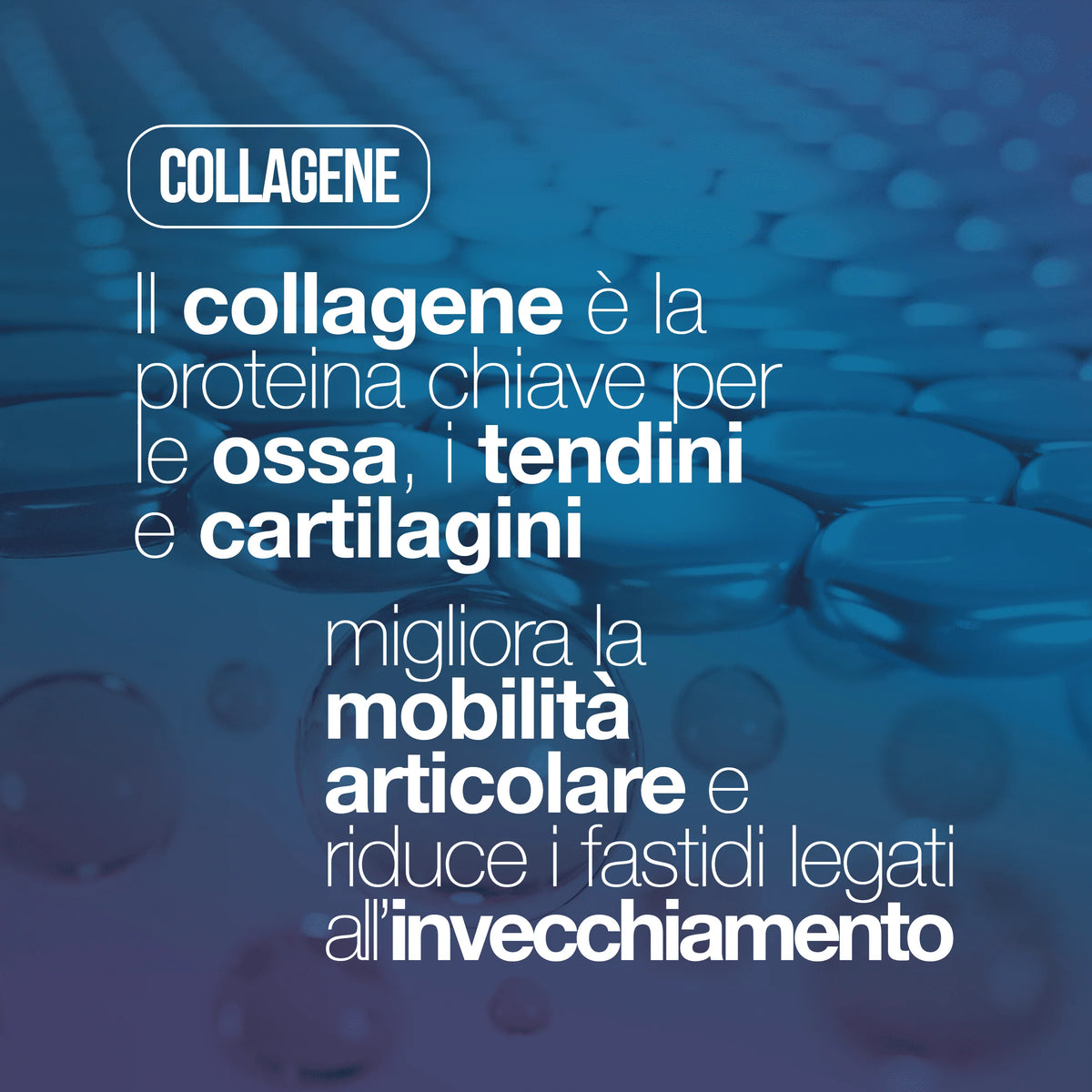 Collagène hydrolysé et acide hyaluronique – 240 comprimés