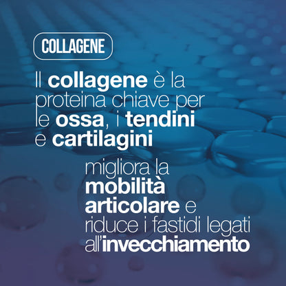 Collagène hydrolysé et acide hyaluronique – 240 comprimés