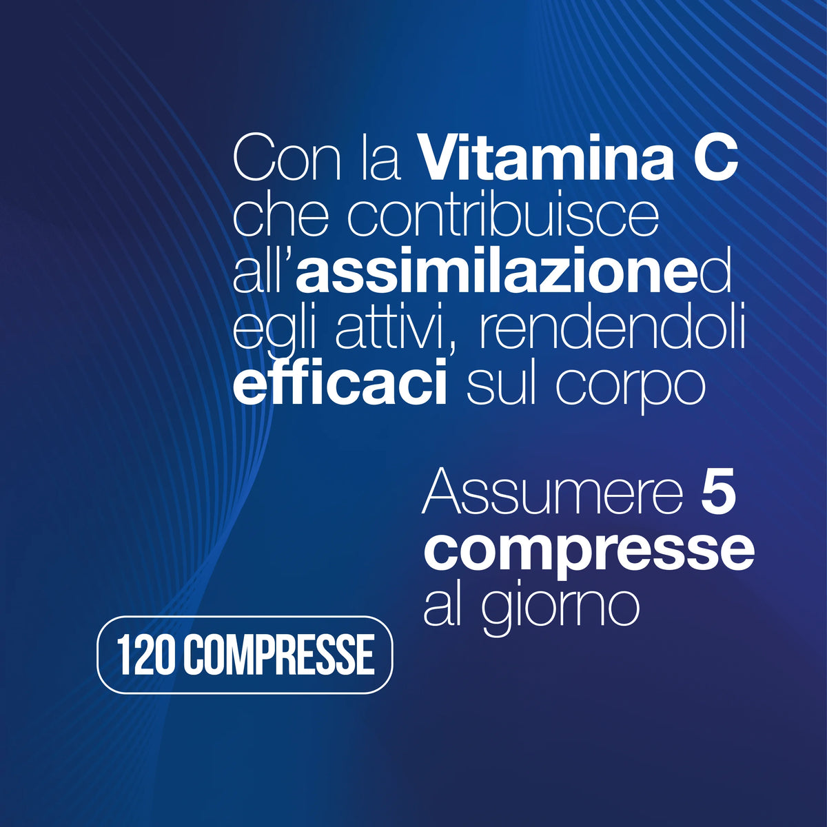 Collagène hydrolysé et acide hyaluronique – 240 comprimés