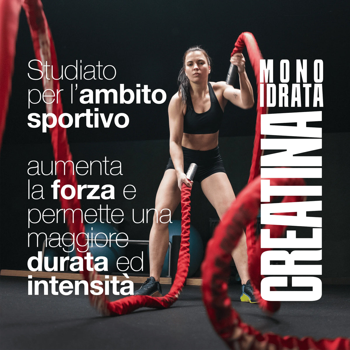 Créatine monohydrate 3 000 mg – Pack de 240 comprimés vegan