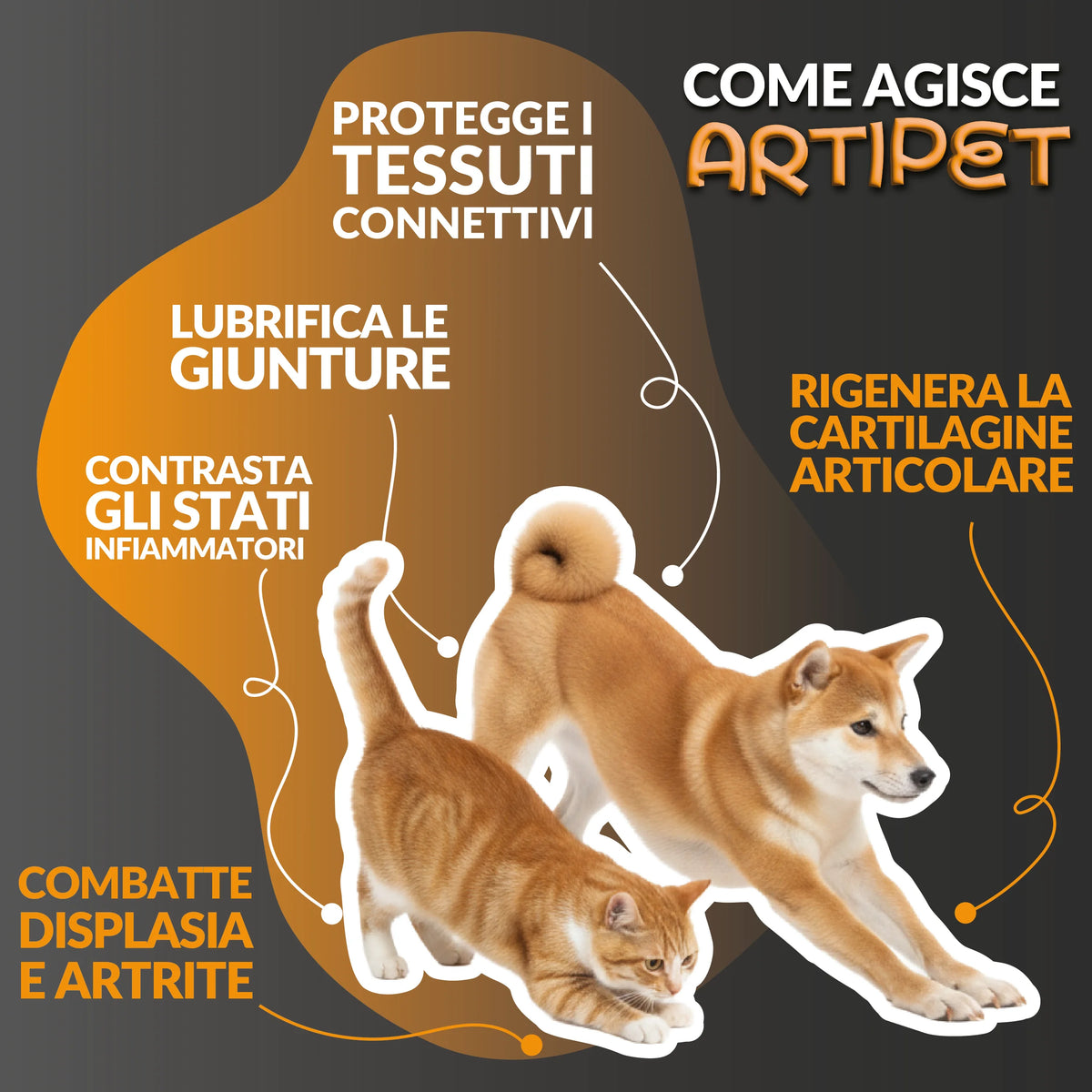 Artipet – Complément articulaire chien et chat, 120 comprimés