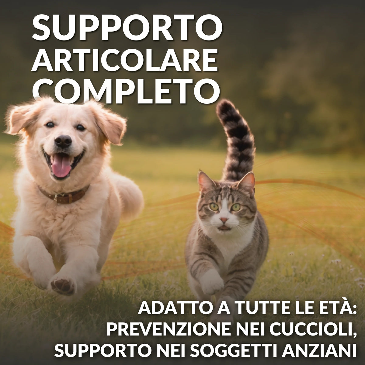 Artipet – Complément articulaire chien et chat, 120 comprimés