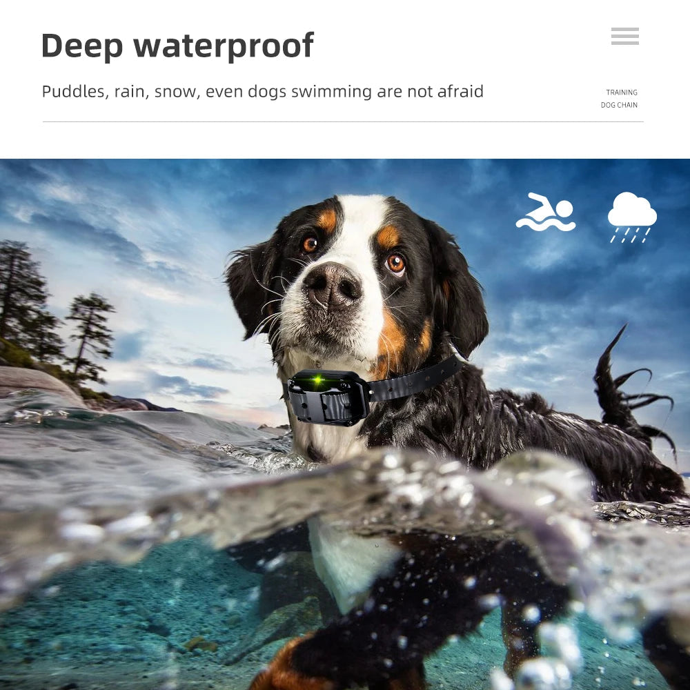 Collier d’Éducation Électrique pour Chien – Étanche, Rechargeable, Télécommande 800m | Anti-Aboiement & Dressage (Choc / Vibration / Son) Ma boutique