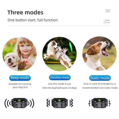 Collier d’Éducation Électrique pour Chien – Étanche, Rechargeable, Télécommande 800m | Anti-Aboiement & Dressage (Choc / Vibration / Son) Ma boutique