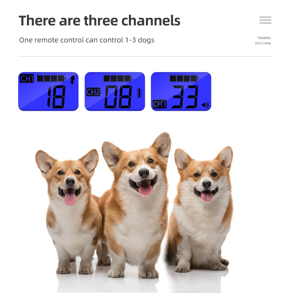 Collier d’Éducation Électrique pour Chien – Étanche, Rechargeable, Télécommande 800m | Anti-Aboiement & Dressage (Choc / Vibration / Son) Ma boutique