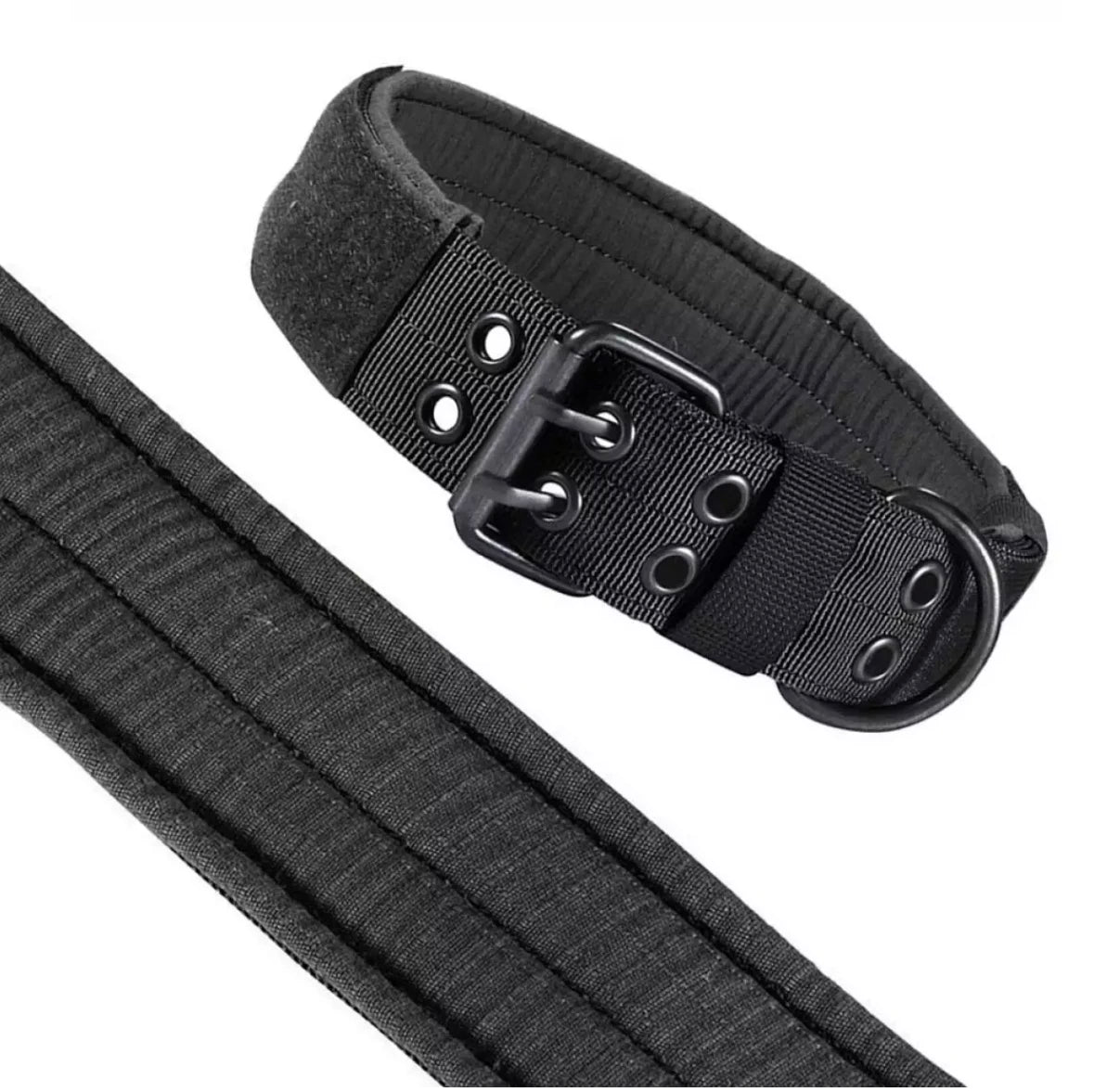 Collier Tactique Réglable pour Chien – Militaire, Entraînement & Sécurité | Nylon Résistant Ma boutique