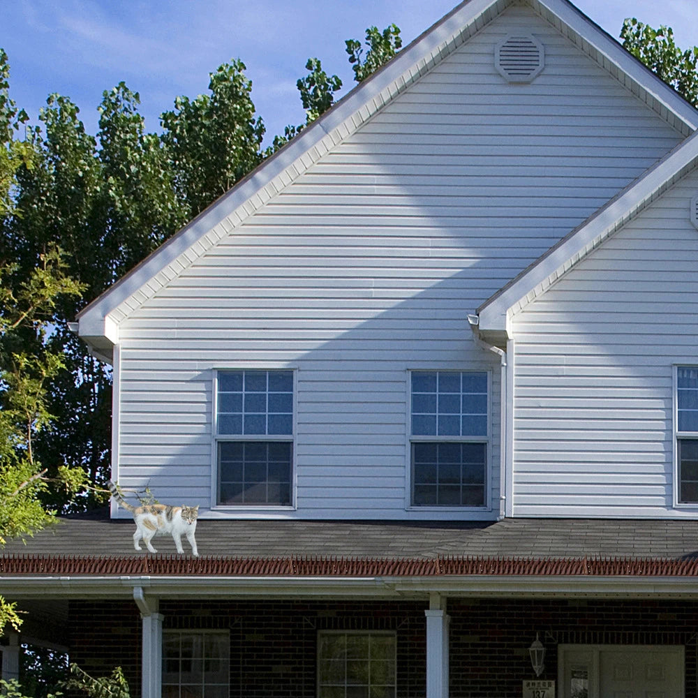 12 Pièces – Pointes Anti-Oiseaux et Anti-Grimpe en Plastique et Acier Inoxydable - BLACKBEARD OUTDOOR INDUSTRIES