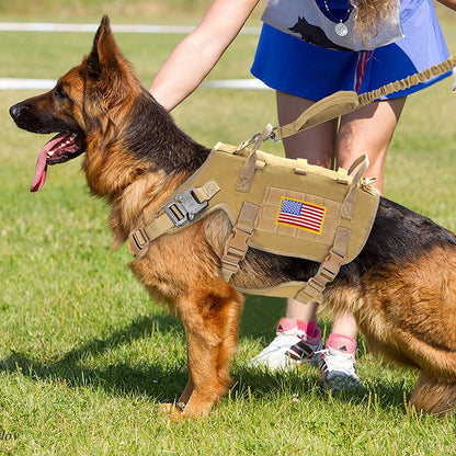 Harnais Tactique Grand Chien – Kit Complet Collier + Laisse + Poches MOLLE