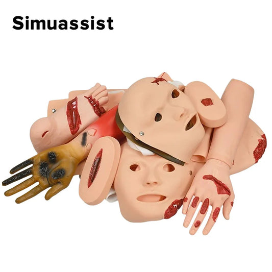 Module d'Évaluation des Traumatismes – Kit de Simulation d'Urgence Médicale, Modèle d'Enseignement de Soins d'Urgence (16 Pièces) - BLACKBEARD OUTDOOR INDUSTRIES