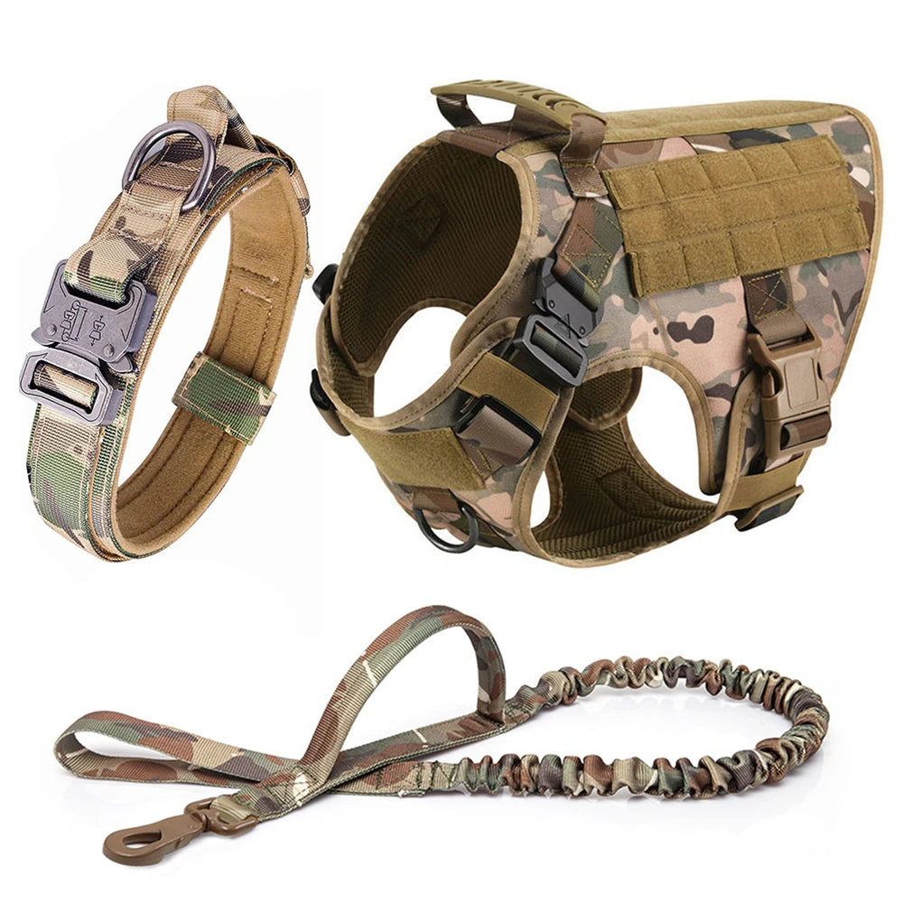 Harnais Tactique PETRAVEL pour Grand Chien – Ensemble Harnais + Collier + Laisse avec Système MOLLE Ma boutique
