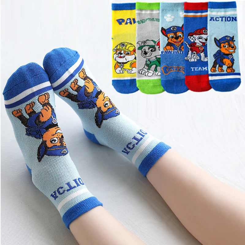 5 paires chaussettes paw patrol enfants 3/6ans Ma boutique