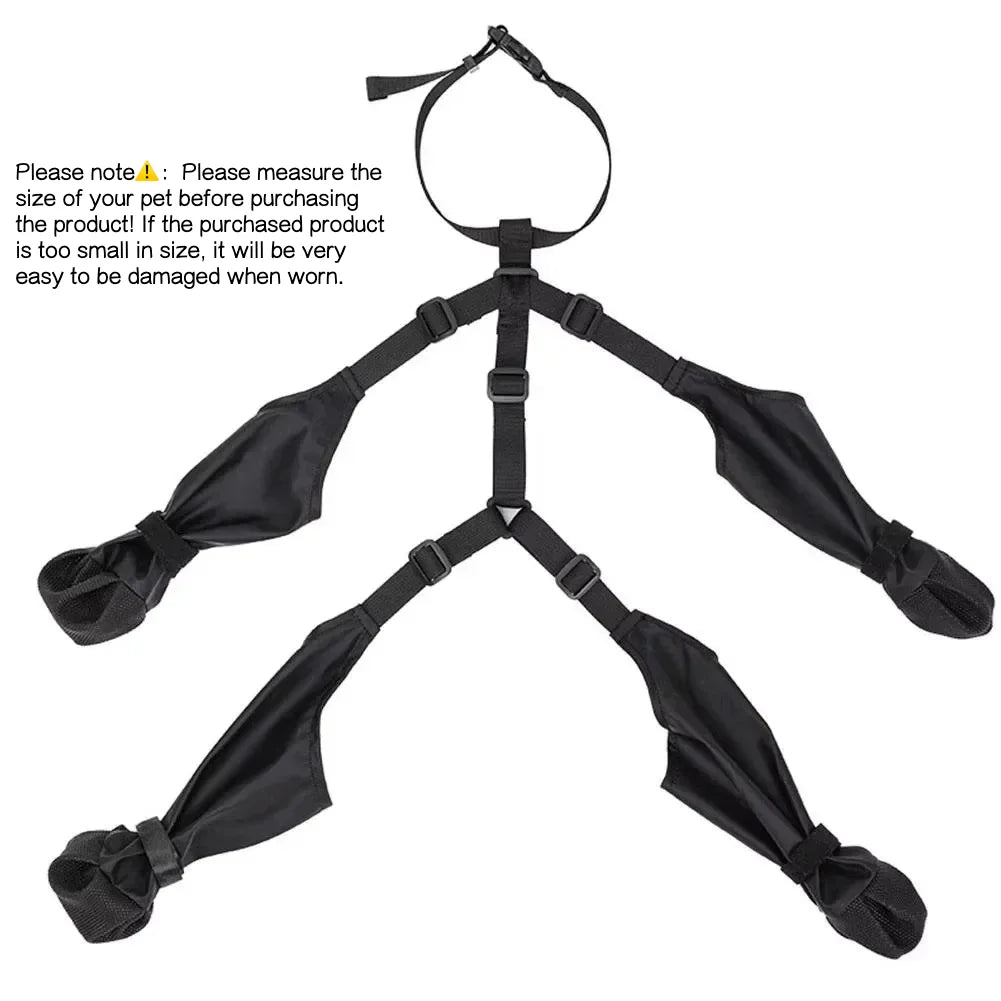 Chaussettes Chien Antidérapantes avec Bretelles – Protège Pattes Pluie & Extérieur - BLACKBEARD OUTDOOR INDUSTRIES