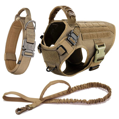 Harnais Tactique PETRAVEL pour Grand Chien – Ensemble Harnais + Collier + Laisse avec Système MOLLE Ma boutique