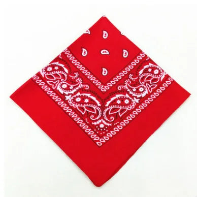 Bandana Carré Hip Hop en Coton – 54x54 cm, Imprimé Paisley - BLACKBEARD OUTDOOR INDUSTRIES