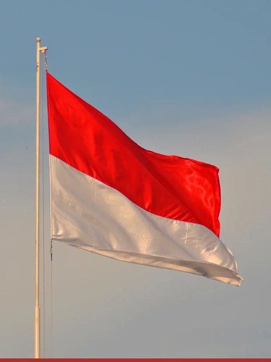 Drapeau Indonésie - 90x150 cm - Polyester - Drapeau Standard Suspendu BLACKBEARD OUTDOOR INDUSTRIES