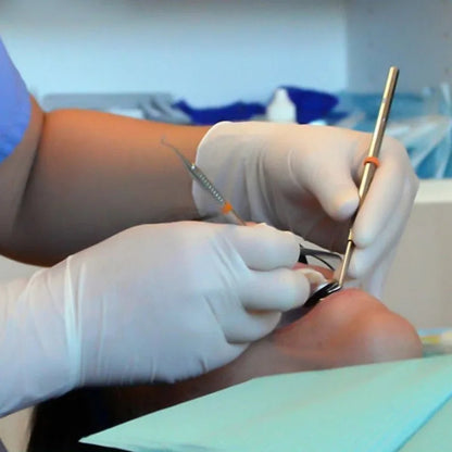 Gants Jetables en Nitrile Blanc - 50 PCS BLACKBEARD OUTDOOR INDUSTRIES