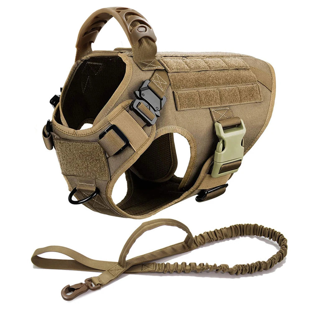 Harnais Tactique PETRAVEL pour Grand Chien – Ensemble Harnais + Collier + Laisse avec Système MOLLE Ma boutique