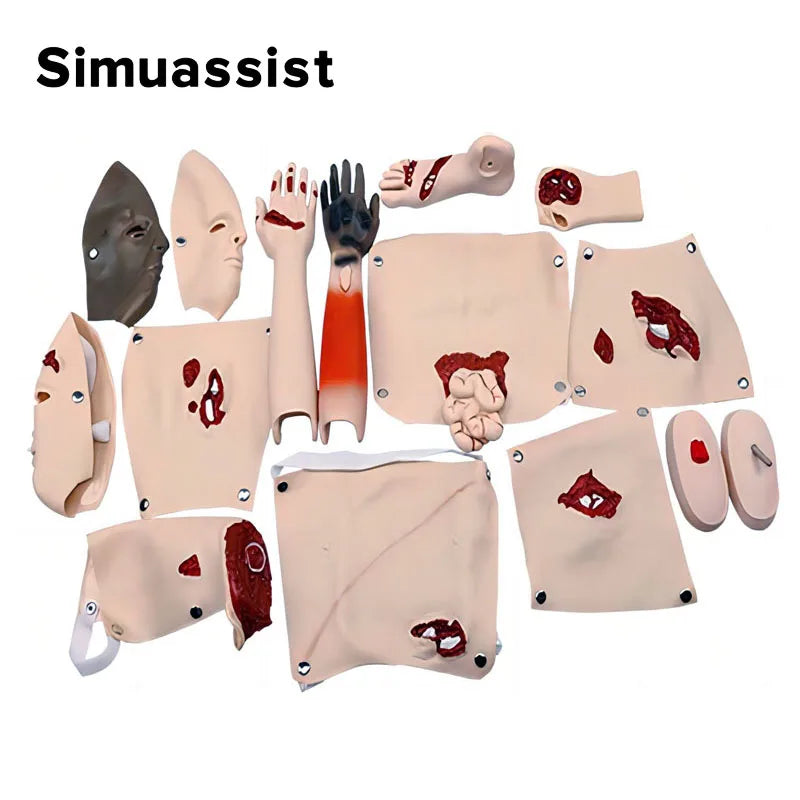 Module d'Évaluation des Traumatismes – Kit de Simulation d'Urgence Médicale, Modèle d'Enseignement de Soins d'Urgence (16 Pièces) - BLACKBEARD OUTDOOR INDUSTRIES