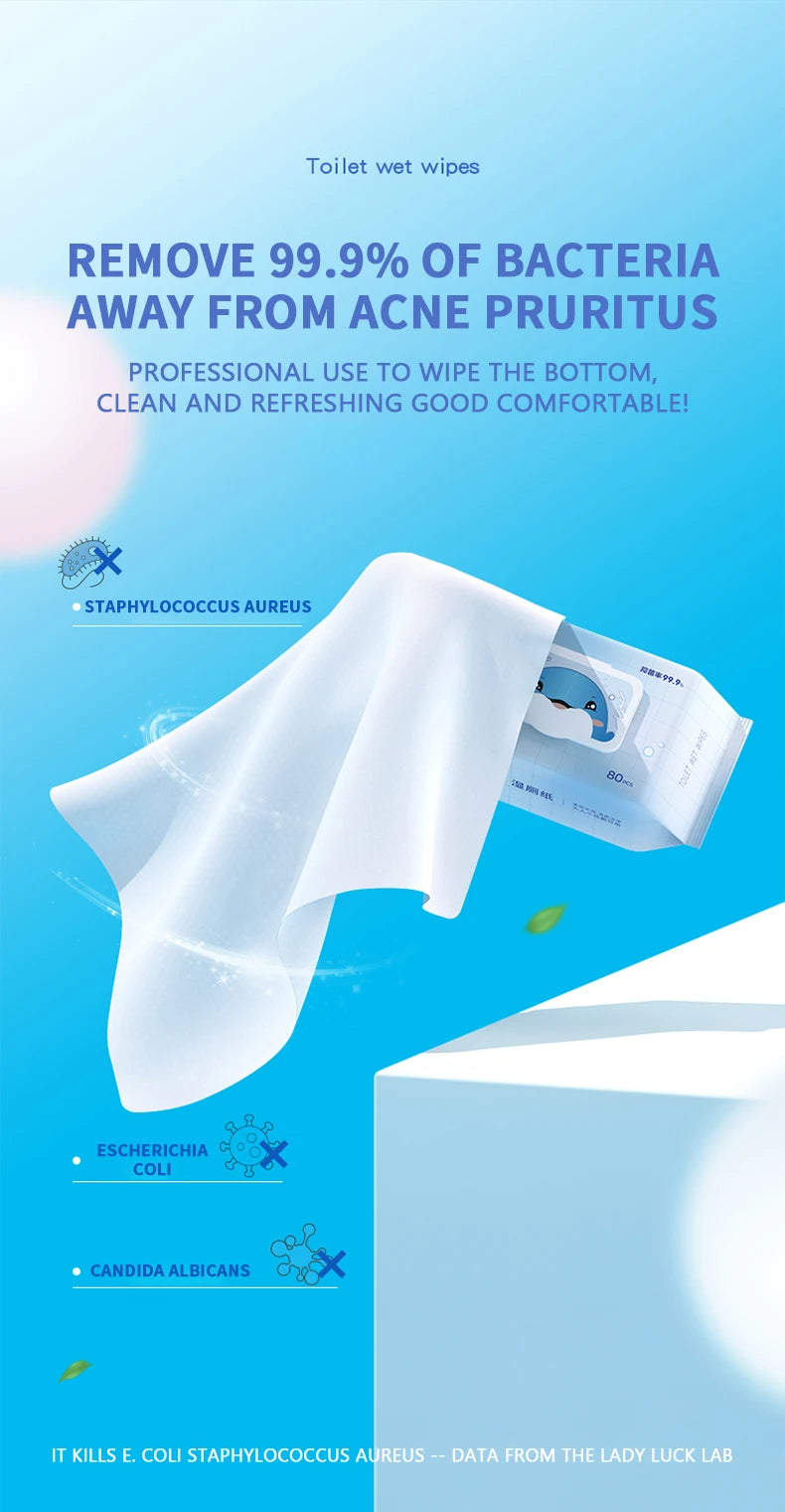 80pcs / 160pcs Wet Toilet Paper – Flushable Adult Hygiene Care Wipes - BLACKBEARD OUTDOOR INDUSTRIES