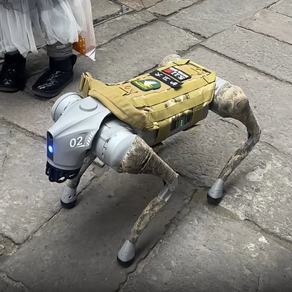 Gilet tactique pour robot quadrupède Go2