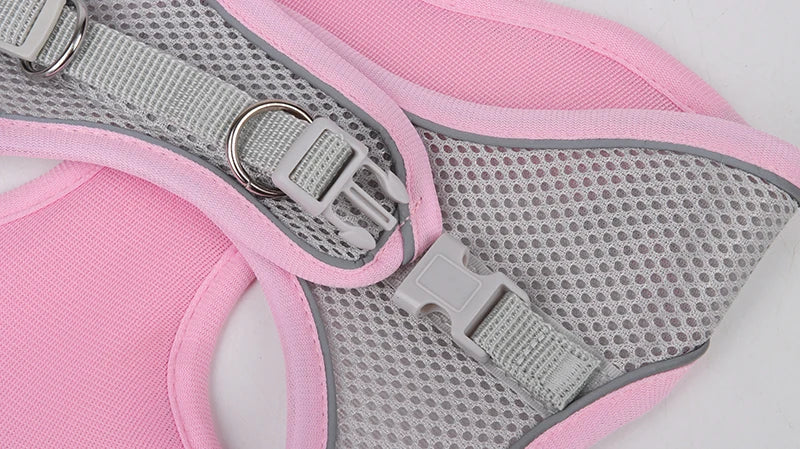 Ensemble Harnais et Laisse pour Petit Chien ou Chat – Harnais Réglable en Maille Respirante avec Liseré Réfléchissant Ma boutique