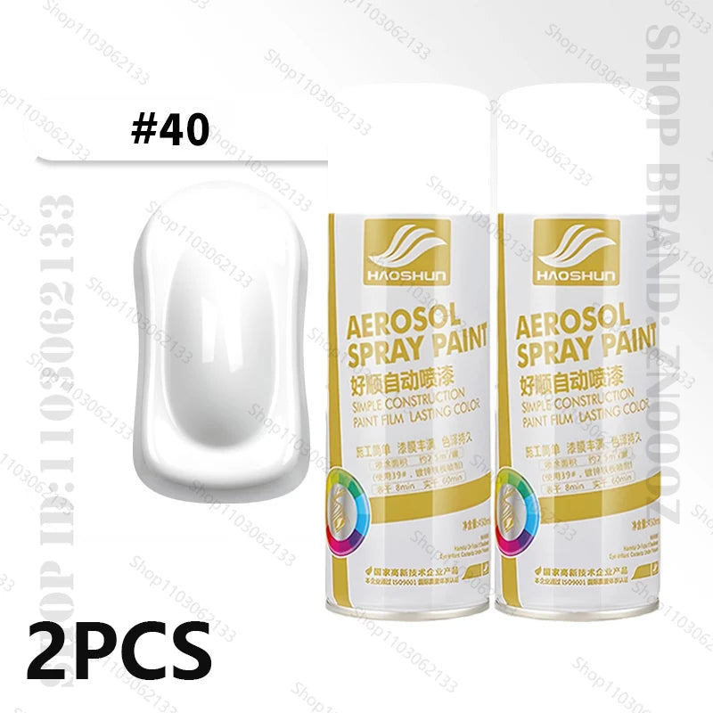 Lot de 2 Bombes de Peinture en Spray 450 ml – Multi-surfaces - BLACKBEARD OUTDOOR INDUSTRIES