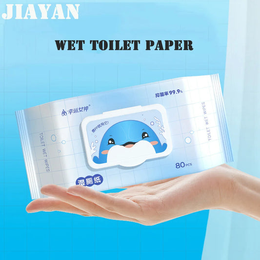 80pcs / 160pcs Wet Toilet Paper – Flushable Adult Hygiene Care Wipes - BLACKBEARD OUTDOOR INDUSTRIES
