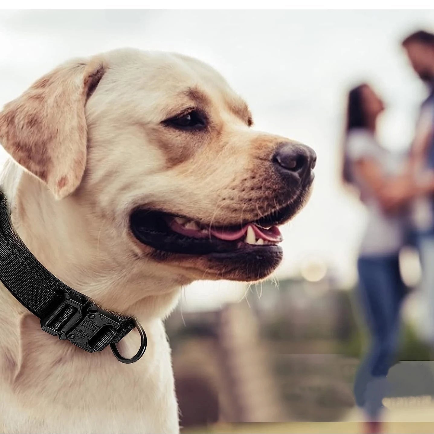 Collier Tactique pour Chien – Militaire, Réglable et Ultra-Résistant Ma boutique