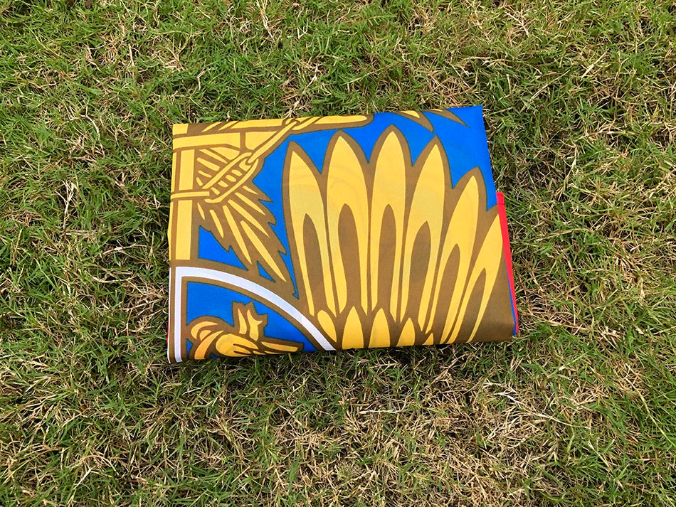 Drapeau National de l'Arménie avec Emblème National - 90x150 cm - Polyester - Drapeau Suspendu pour Décoration BLACKBEARD OUTDOOR INDUSTRIES