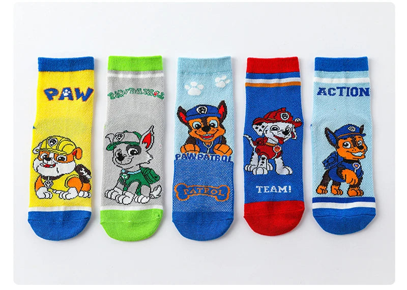 5 paires chaussettes paw patrol enfants 3/6ans Ma boutique