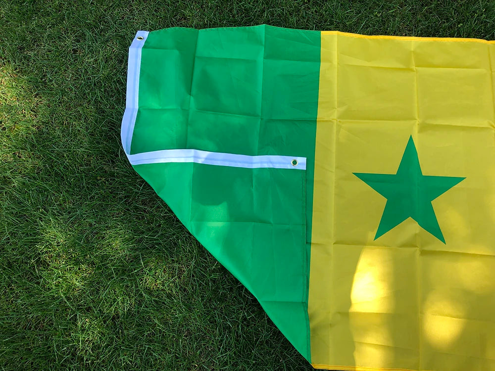 Drapeau du Sénégal 90x150 cm – Bannière en Polyester pour Décoration (Intérieur et Extérieur) BLACKBEARD OUTDOOR INDUSTRIES