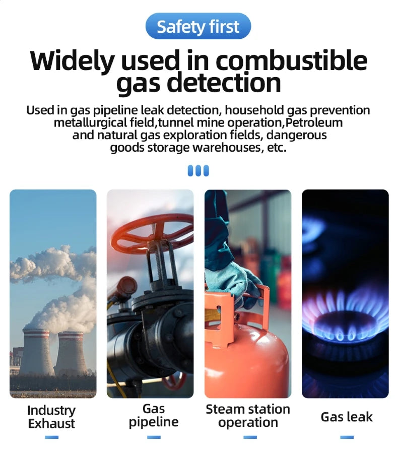 Détecteur de Fuite de Gaz Inflammable – Analyseur de Gaz Naturel, LPG, Méthane, Alcool (50000 PPM/LEL%) avec Sonde Flexible - BLACKBEARD OUTDOOR INDUSTRIES