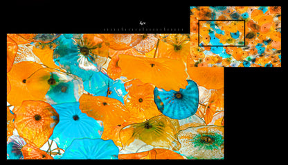 【NEW】OUKITEL WP53 PRO Rugged Phone, 24GB+256GB 11000mAh Android 15 6.52" NFC 50MP Cell Phone BLACKBEARD OUTDOOR INDUSTRIES