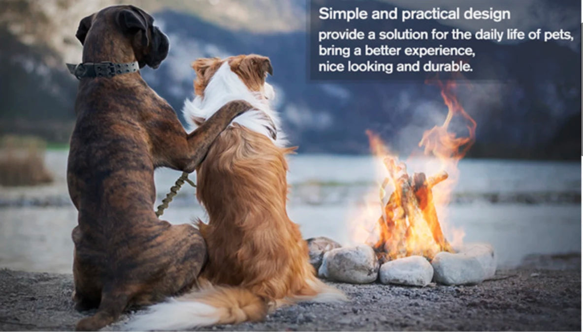 Collier Tactique Réglable pour Chien – Militaire, Entraînement & Sécurité | Nylon Résistant Ma boutique