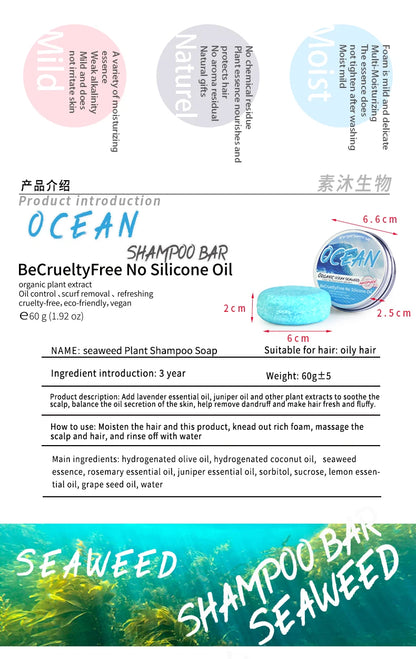 Shampooing Solide au Sel Marin – Parfum Océan Frais - BLACKBEARD OUTDOOR INDUSTRIES