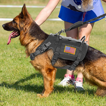 Harnais Tactique Grand Chien – Kit Complet Collier + Laisse + Poches MOLLE