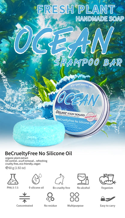 Shampooing Solide au Sel Marin – Parfum Océan Frais - BLACKBEARD OUTDOOR INDUSTRIES