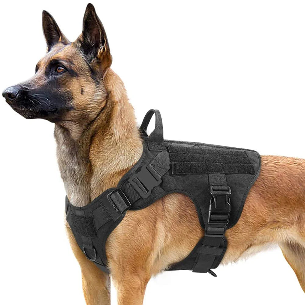 Harnais Tactique PETRAVEL pour Grand Chien – Ensemble Harnais + Collier + Laisse avec Système MOLLE Ma boutique