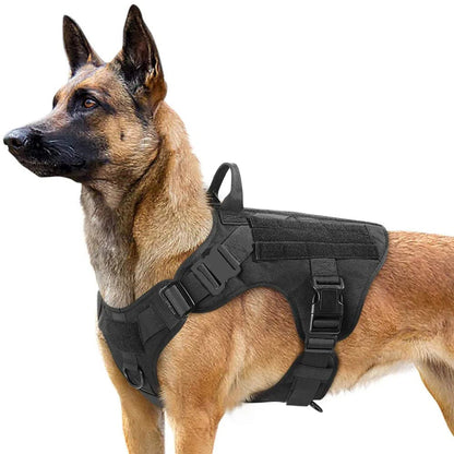 Harnais Tactique PETRAVEL pour Grand Chien – Ensemble Harnais + Collier + Laisse avec Système MOLLE Ma boutique