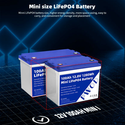Batterie LiFePO4 PWOD 12V 100Ah – Pack BCI Group 24 Pour VR, Bateau, Camping, Énergie Solaire - BLACKBEARD OUTDOOR INDUSTRIES