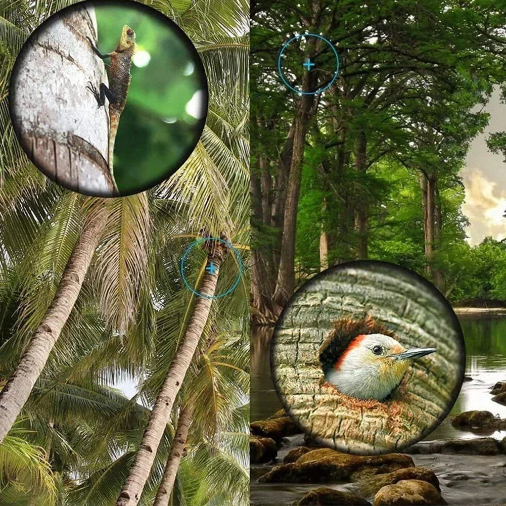 Longue-Vue Monoculaire Professionnelle HD 40x60 - BLACKBEARD OUTDOOR INDUSTRIES