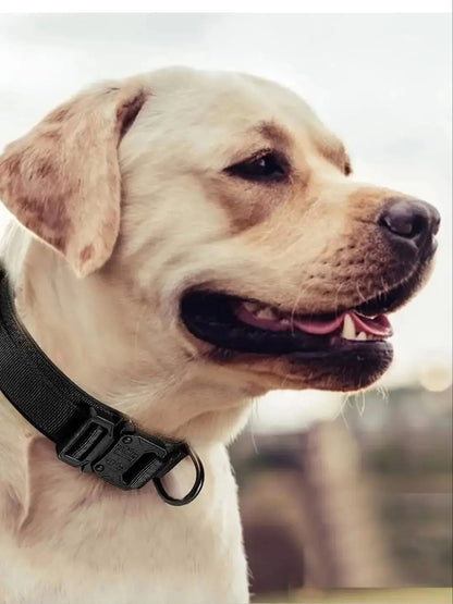 Collier Tactique pour Chien – Militaire, Réglable et Ultra-Résistant Ma boutique