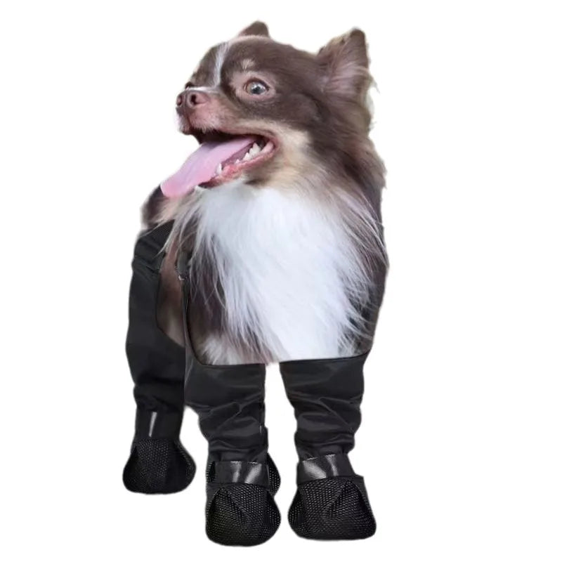 Chaussettes Chien Antidérapantes avec Bretelles – Protège Pattes Pluie & Extérieur - BLACKBEARD OUTDOOR INDUSTRIES