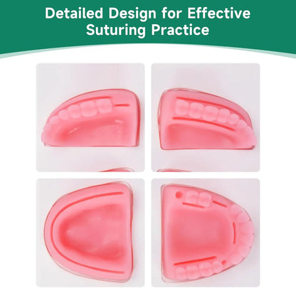 Kit Suture Dentaire 4-en-1 – 4 Pads Gencive Résine, Outils Inox & 6 Fils 4/0 – Formation Étudiants Dentistes